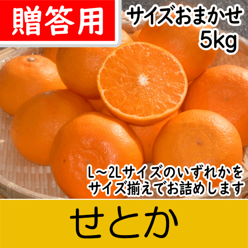 【南三重産】せとか_贈答用★サイズおまかせ★5kg入～独特の甘い香りと実がずっしり～