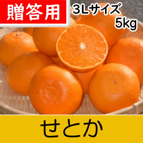【南三重産】せとか_贈答用3Lサイズ_5kg入～独特の甘い香りと実がずっしり★～