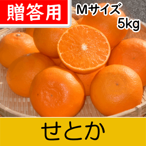 【南三重産】せとか_贈答用Mサイズ_5kg入～独特の甘い香りと実がずっしり～
