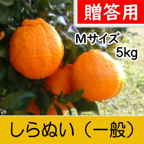 【南三重産】しらぬい_贈答用Mサイズ_5kg入～「不知火」食べ応えのある柑橘の王様～