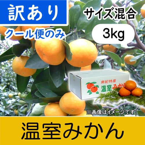 【南三重産】温室みかん_訳あり品_3kg箱入～クール便のみ～