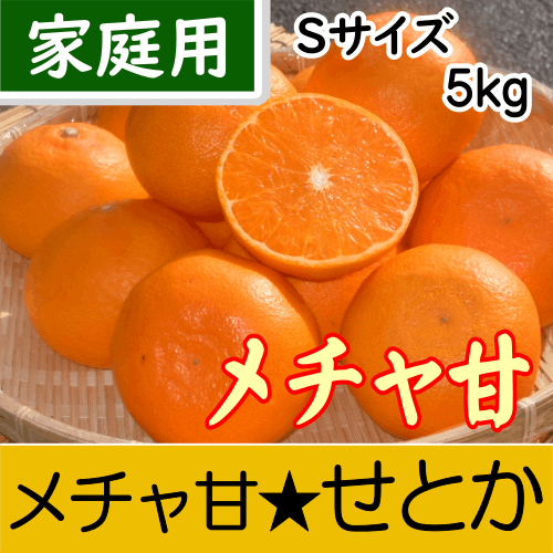 【南三重産】メチャ甘せとか_家庭用Sサイズ_5kg入～糖度12.5～14度光センサー撰果！実がずっしり！～