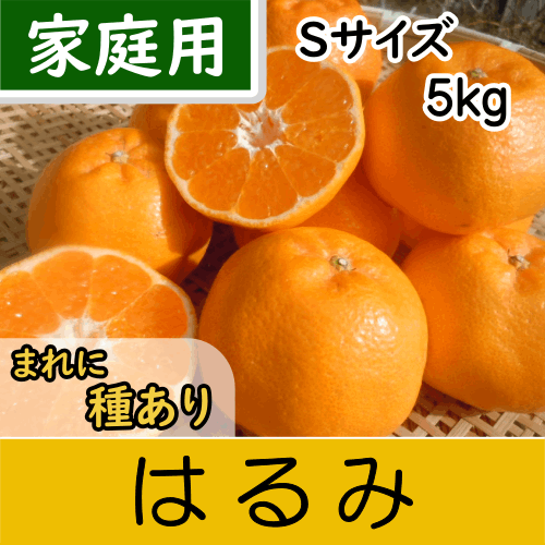 【南三重産】はるみ_家庭用Sサイズ_5kg箱入～シラヌイの妹～