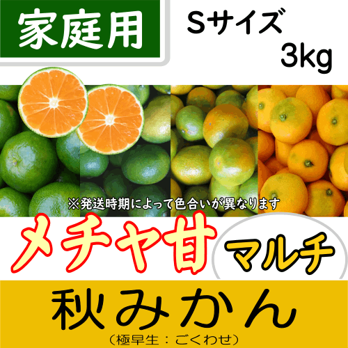 【南三重産】メチャ甘マルチ★秋みかん_家庭用Sサイズ_3kg箱入～美味しいみかんを食べて♪～
