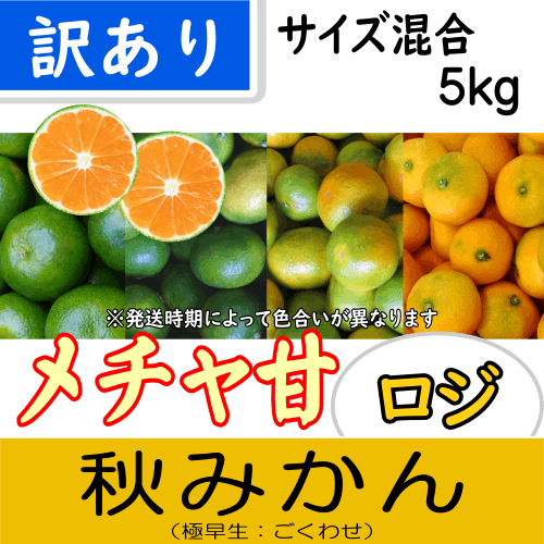 【南三重産】メチャ甘ロジ★秋みかん_訳あり品_サイズ混合_5kg箱入