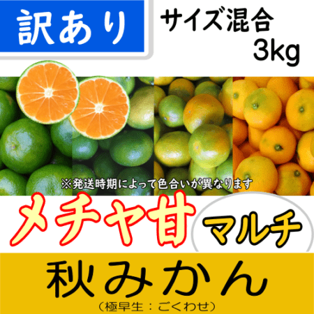 【南三重産】メチャ甘マルチ★秋みかん_訳あり品_混合サイズ 3kg箱入