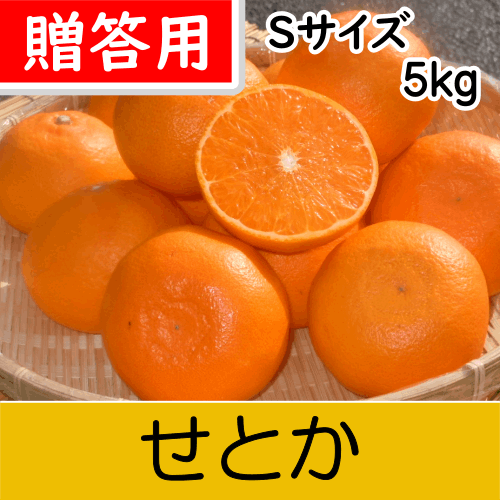 【南三重産】せとか_贈答用Sサイズ_5kg入～独特の甘い香りと実がずっしり～