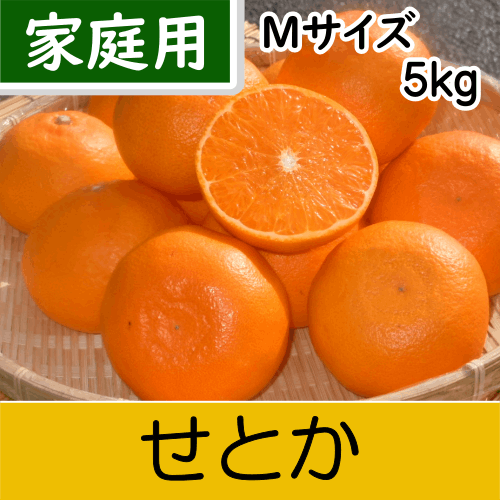 【南三重産】せとか_家庭用Mサイズ_5kg入～独特の甘い香りと実がずっしり～