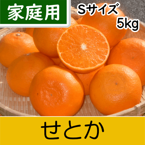 【南三重産】せとか_家庭用Sサイズ_5kg入～独特の甘い香りと実がずっしり～