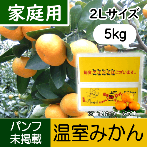 【南三重産】温室みかん 家庭用 2Lサイズ 5kg箱入～冷やして食べてね☆～