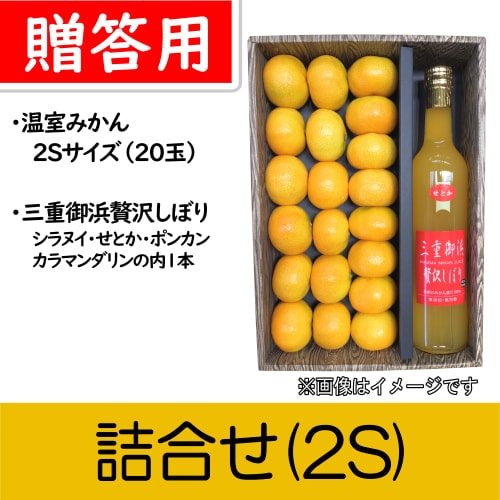 【南三重産】詰合せ(2S)★「温室みかん贈答用2Sサイズ」と「三重御浜贅沢しぼり」のセット♪～どちらも楽しみたい欲張りセット～