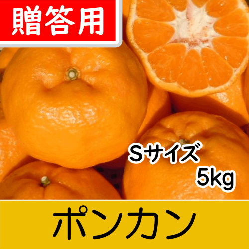 【南三重産】ポンカン_贈答用Sサイズ_5kg入～甘い香りが特徴！～