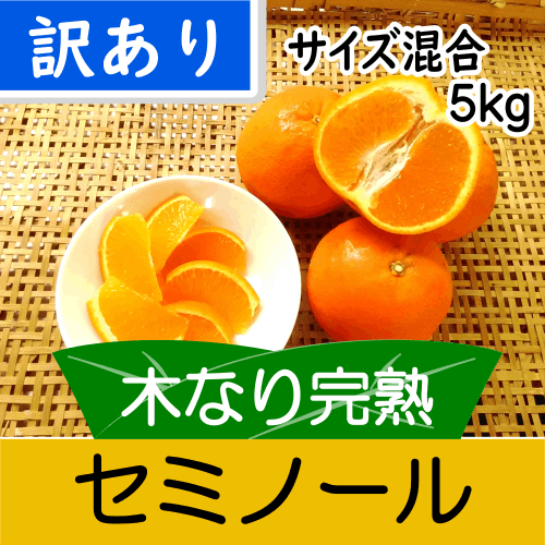 【南三重産】木なり完熟★セミノール_訳あり_サイズ混合_5kg～樹上で完熟！～