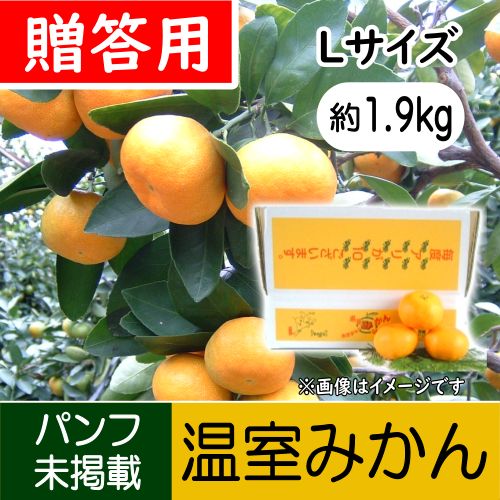 【南三重産】温室みかん_贈答用Lサイズ_2kg箱入(約1.9kg入)～夏の贈り物に☆～
