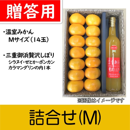 【南三重産】詰合せ(M)★「温室みかん贈答用Mサイズ」と「三重御浜 贅沢しぼり」のセット♪～どちらも楽しみたい欲張りセット～