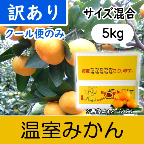 【南三重産】温室みかん_訳あり品_5kg箱入～冷やして食べてね☆～