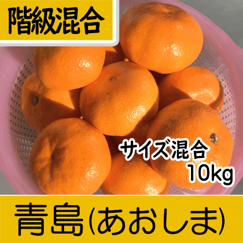 【南三重産】青島みかん_階級混合サイズ混合_10kg入～冬の温州みかん～