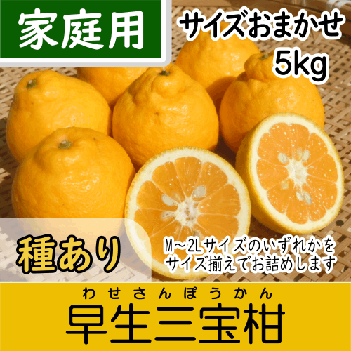 【南三重産】早生三宝柑_家庭用★サイズおまかせ★_5kg箱入～紀州生まれの縁起みかん～
