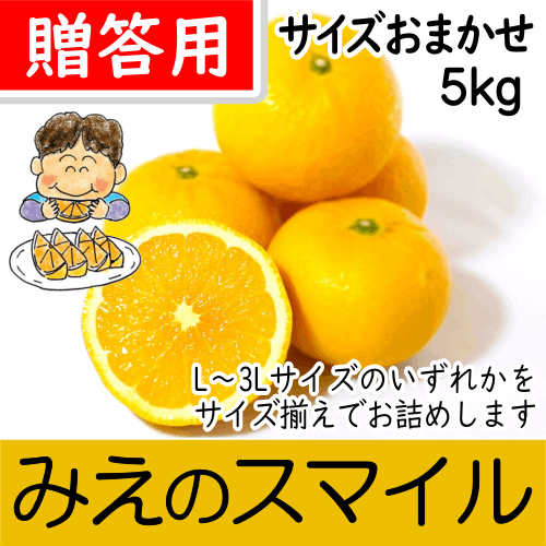 【南三重産】みえのスマイル_贈答用★サイズおまかせ★_5kg入～新しい三重御浜の味！～