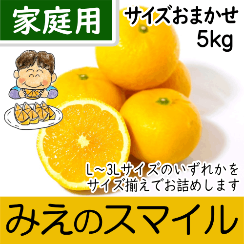 【南三重産】みえのスマイル_家庭用★サイズおまかせ★_5kg入～新しい三重御浜の味！～
