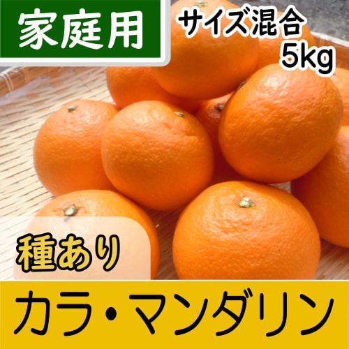 南三重産】カラ・マンダリン_訳あり_サイズ混合5kg～濃厚な美味しさ