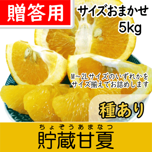 【南三重産】貯蔵甘夏みかん_贈答用★サイズおまかせ★5kg箱入～爽やか甘酸っぱ～いのが特徴！～