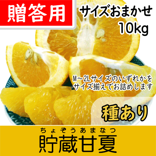 【南三重産】貯蔵甘夏みかん_贈答用★サイズおまかせ★10kg箱入～爽やか甘酸っぱ～いのが特徴！～