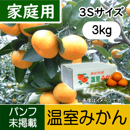 【南三重産】温室みかん_家庭用3Sサイズ_3kg箱入～小粒ちゃん～