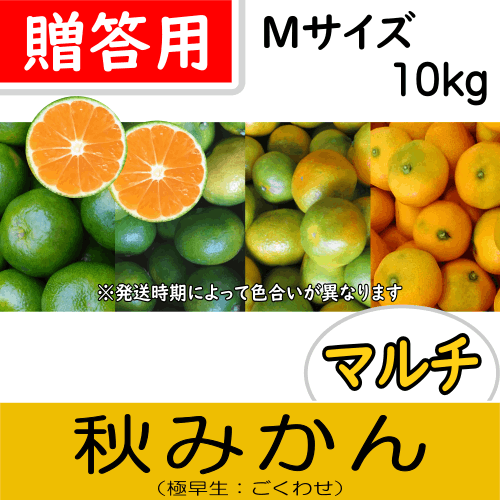 【南三重産】マルチ秋みかん_贈答用Mサイズ_10kg箱入