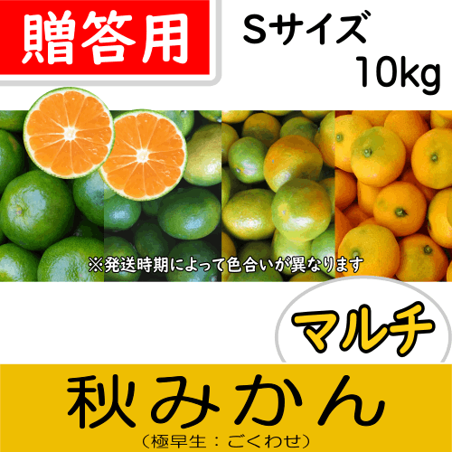 【南三重産】マルチ秋みかん_贈答用Sサイズ_10kg箱入