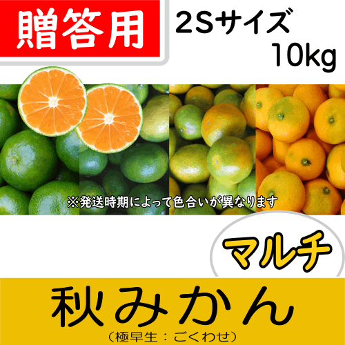 【南三重産】マルチ秋みかん_贈答用2Sサイズ_10kg箱入