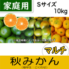 【南三重産】マルチ秋みかん_家庭用Sサイズ_10kg箱入〜秋の定番♪〜