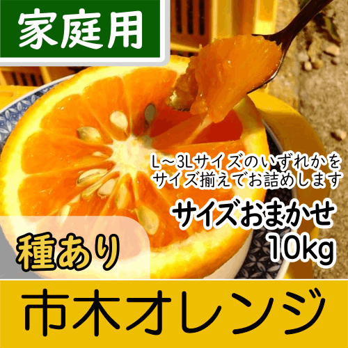 【南三重産】市木オレンジ_家庭用★サイズおまかせ★10kg～「美(うま)し国みえの伝統果実」に認定！～
