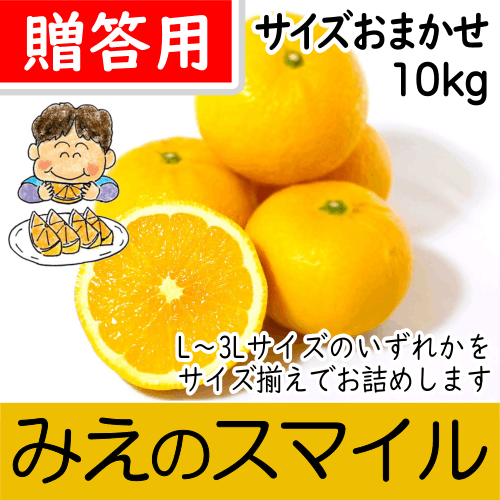 【南三重産】みえのスマイル_贈答用★サイズおまかせ★10kg入～新しい三重御浜の味！～