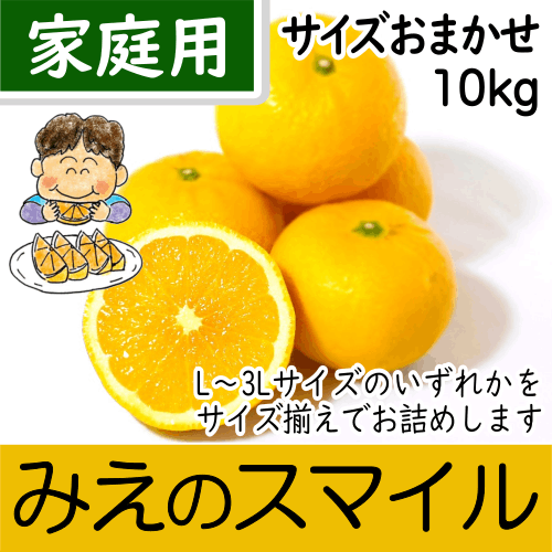 【南三重産】みえのスマイル_家庭用★サイズおまかせ★10kg入～新しい三重御浜の味！～