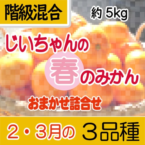 甘いみかん、みかんジュースの通販なら『御浜柑橘（みはまかんきつ）』