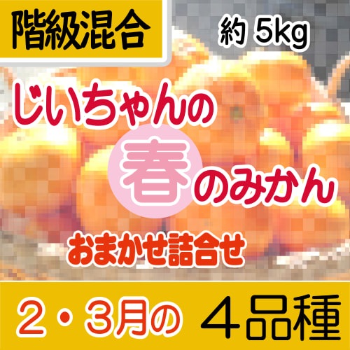 【南三重産】じいちゃんの2・3月のみかん★おまかせ詰合せ★4品種★約5kg入（贈答・家庭用混合）