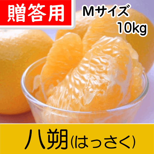 【南三重産】八朔_贈答用Mサイズ(小玉)_10kg～パチパチッとした食感が人気！～