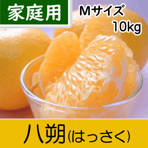 【南三重産】八朔_家庭用Mサイズ(小玉)_10kg～パチパチッとした食感が人気！～