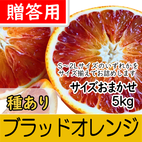 【南三重産】ブラッドオレンジ_贈答用★サイズおまかせ★5kg箱入～今年も登場！～