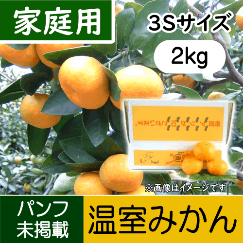 【南三重産】温室みかん_家庭用3Sサイズ_2kg箱入～小粒ちゃん～