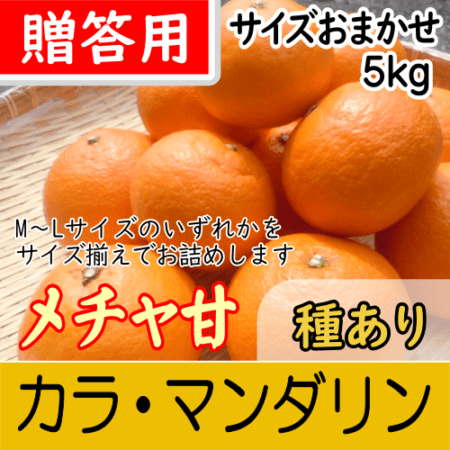 【南三重産】メチャ甘★カラ・マンダリン_贈答用★サイズおまかせ★5kg～果汁たっぷり！春のみかん～