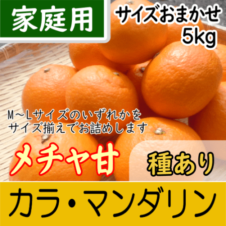 南三重産】メチャ甘☆カラ・マンダリン_家庭用☆サイズおまかせ☆5kg～