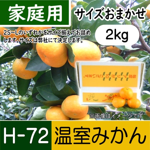 【南三重産】温室みかん_家庭用サイズおまかせ_2kg箱入～冷やして食べてね☆～(H-72)