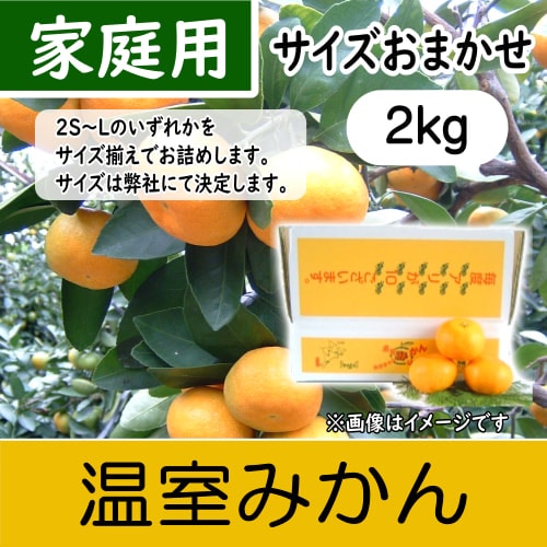 【南三重産】温室みかん_家庭用サイズおまかせ_2kg箱入(H-88)～冷やして食べてね☆～