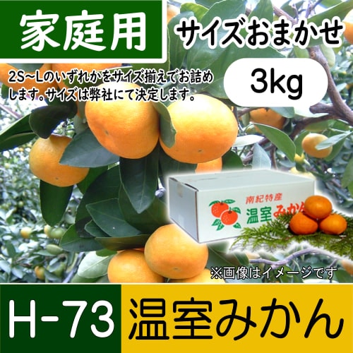 【南三重産】温室みかん_家庭用サイズおまかせ_3kg箱入～冷やして食べてね☆～(H-73)