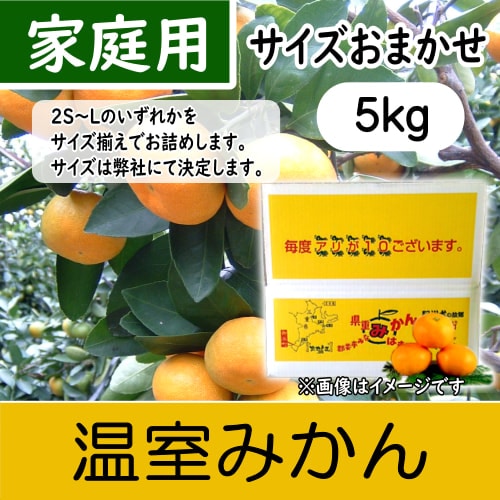 【南三重産】温室みかん_家庭用サイズおまかせ_5kg箱入～冷やして食べてね☆～