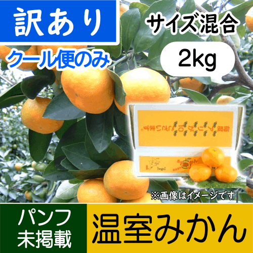 【南三重産】温室みかん_訳あり品_2kg箱入～クール便のみ～