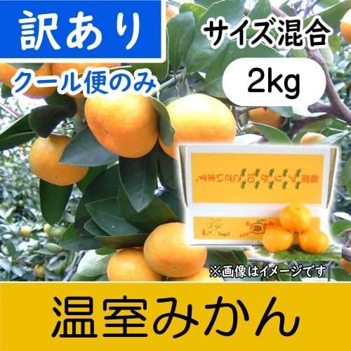 【南三重産】温室みかん_訳あり品_2kg箱入～クール便のみ～
