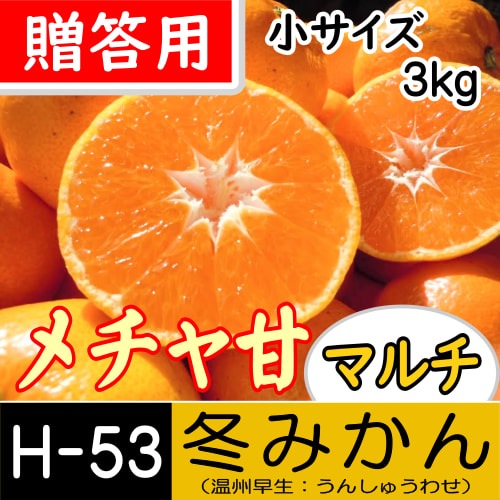 【南三重産】メチャ甘マルチ★冬みかん_贈答用[小サイズ]_3kg箱入[H-53]